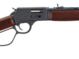 Henry Big Boy Steel Side Gate .45 LC Lever Action Rifle H012GC 10+1 20"
