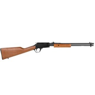 Rossi Gallery 22LR Rifle 18" 15+1 RP22181WD