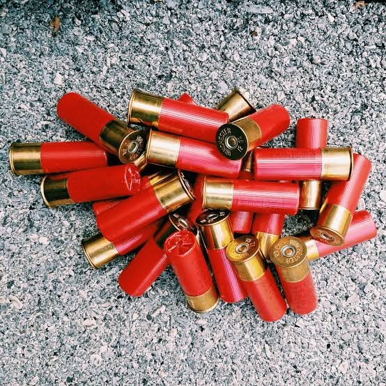 Shotgun Shells